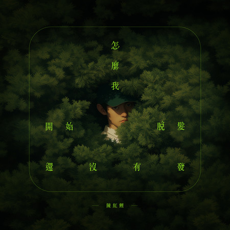 怎麼我開始脫髮還沒有發