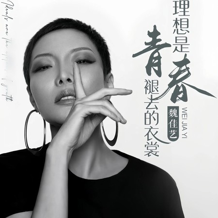 理想是青春褪去的衣裳