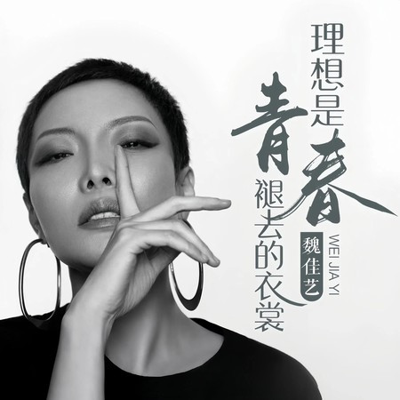 理想是青春褪去的衣裳（DJ Mix）