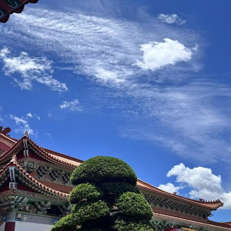 舒心減壓純音樂 治愈失眠輕音樂 養生減壓舒緩輕音樂