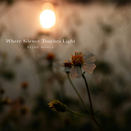 Where Silence Touches Light