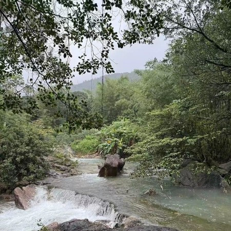 治愈失眠純音樂 安靜舒緩放松音樂 養生瑜伽音樂