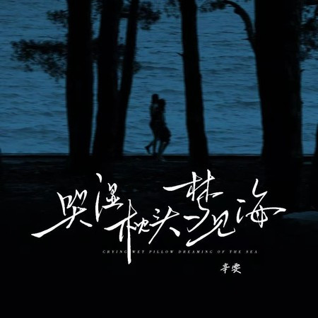 哭湿枕头梦见海