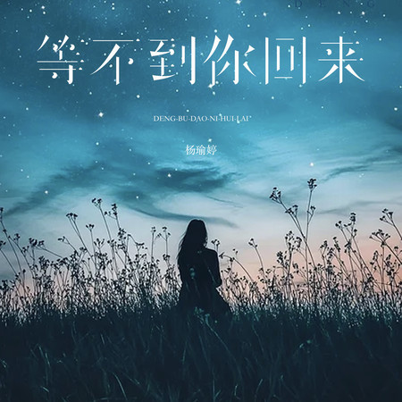 等不到你回來
