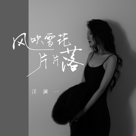 風吹雪花片片落(DJ豪大大版)