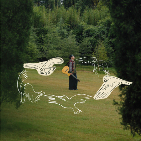 拾鳥集 Bird Chronicle