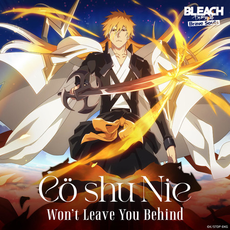 Won't Leave You Behind