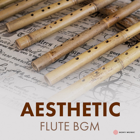 Aesthetic Flute BGM