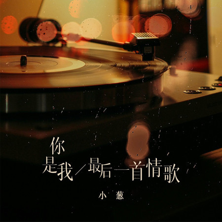 你是我最後一首情歌
