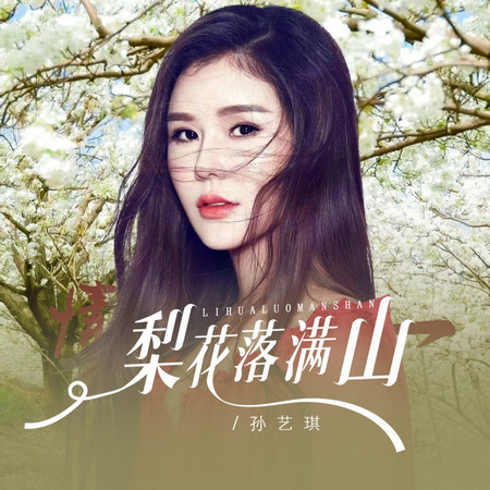 梨花落滿山