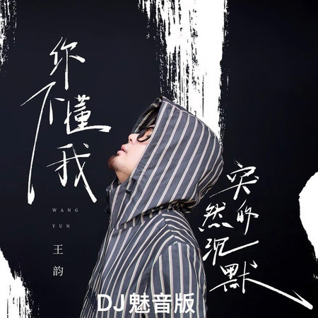 你不懂我突然的沉默