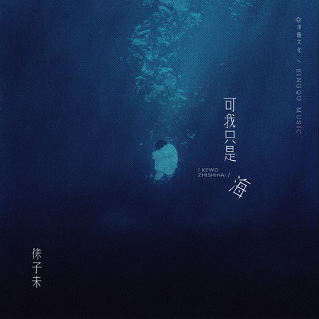 可我只是海