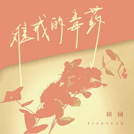 專輯封面