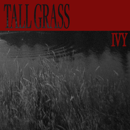 Tall Grass