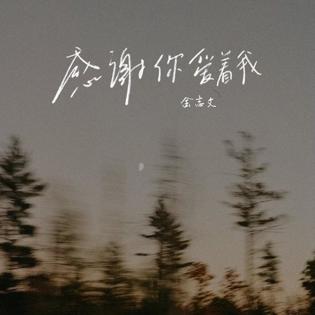 感谢你爱着我