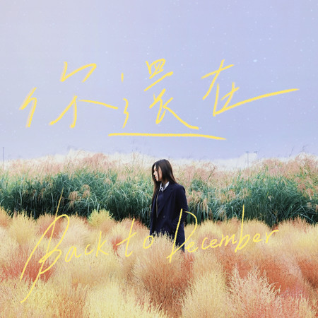 你還在(Back to December)