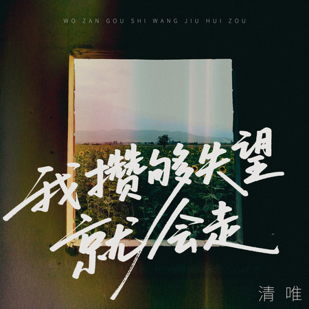 我攢夠失望就會走