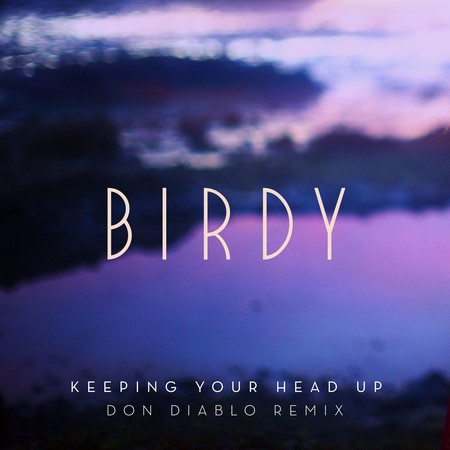 Keeping Your Head Up (Don Diablo Remix; Extended)
