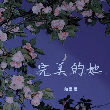 完美的她