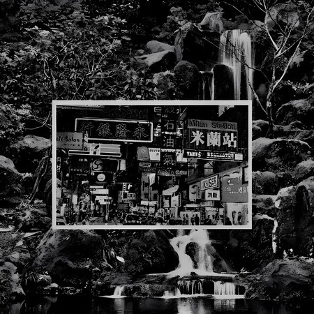 林深不知處