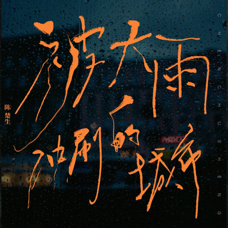 被大雨沖刷的城市