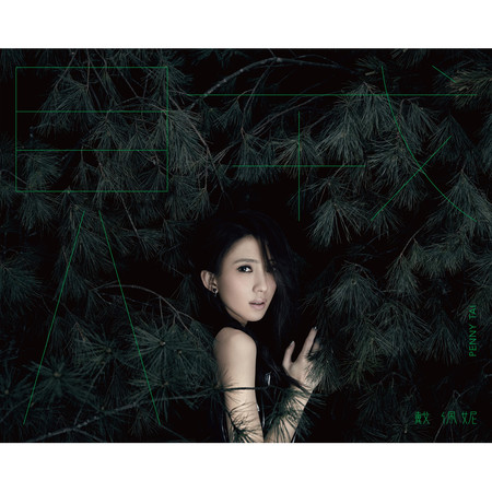 賊 Thief