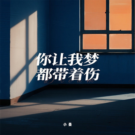 你讓我夢都帶着傷