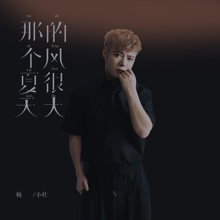 那個夏天的風很大