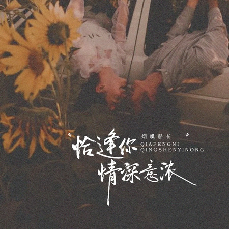 恰逢你情深意濃