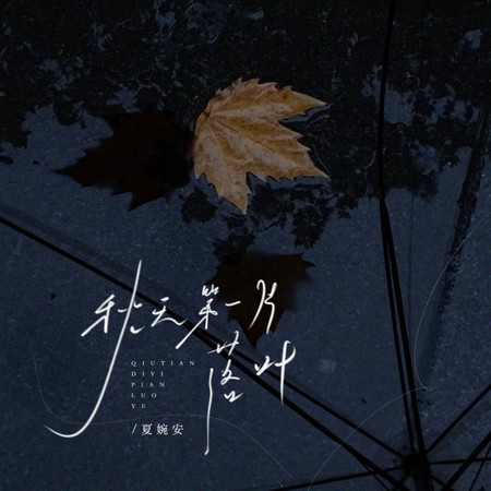 秋天第一片落葉