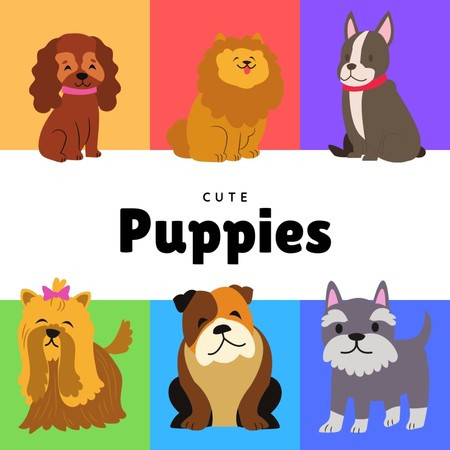 Cute Puppies