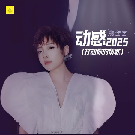 动感2025(打动你的情歌)