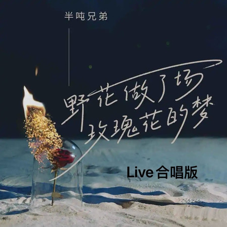 野花做了場玫瑰花的夢(Live合唱版)