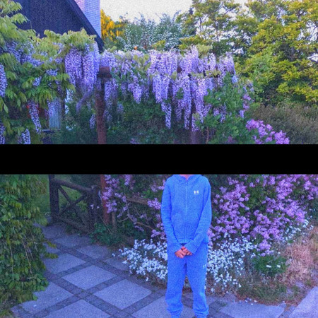 Tårer tørrer af sig selv