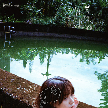 ((No wool. No hump))