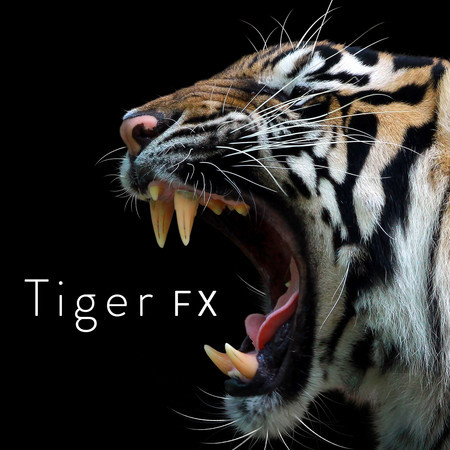 Tiger FX