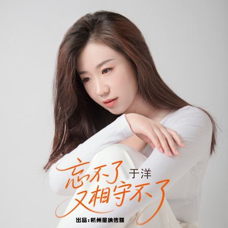 忘不了又相守不了 (DJ版)