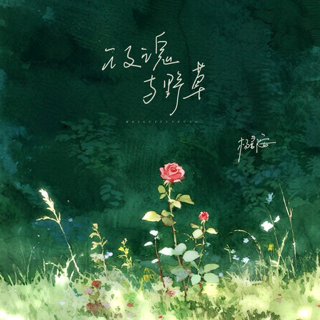玫瑰与野草 (伴奏版)