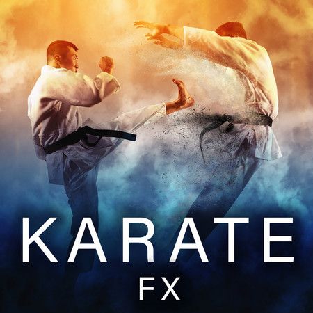 Karate FX
