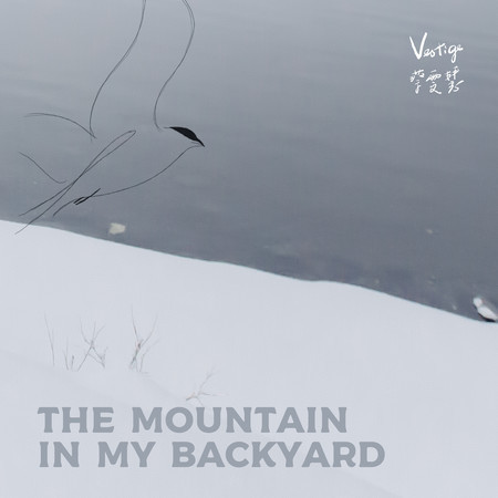 The Mountain In My Backyard