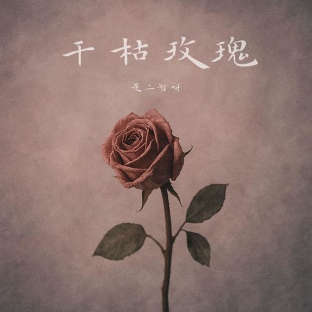 干枯玫瑰