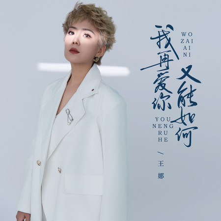 我再愛你又能如何(DJ阿尼版)