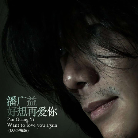 好想再愛你(DJ小楷版)