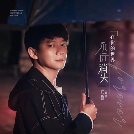 在你的世界永遠的消失