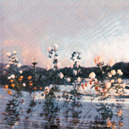 泡沫之夢化為幻影