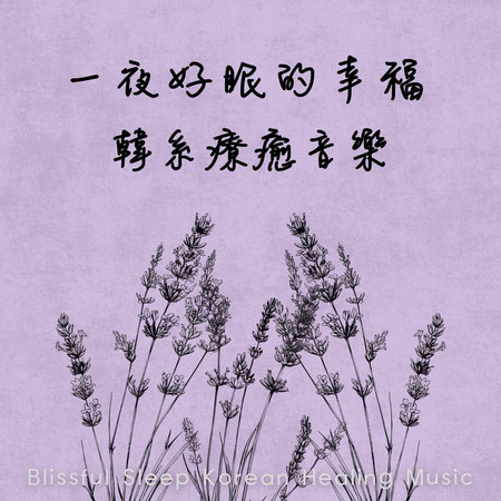 一夜好眠的幸福 韓系療癒音樂 (Blissful Sleep Korean Healing Music)