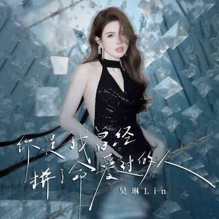 你是我曾經拼了命愛過的人