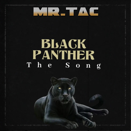 Black Panther The Song