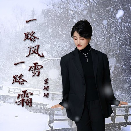 一路风雪一路霜 (DJ版)