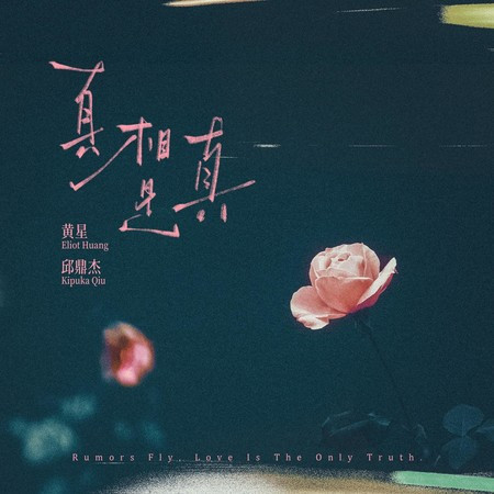 真相是真